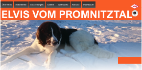 Über mich Dokumente Ausstellungen Galerie Nachwuchs Kontakt  Impressum ELVIS VOM PROMNITZTAL  Über mich Dokumente Ausstellungen Galerie Nachwuchs Kontakt  Impressum