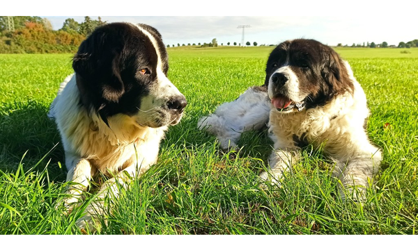 Jimmy(Hero)+Aaron(Adolf)