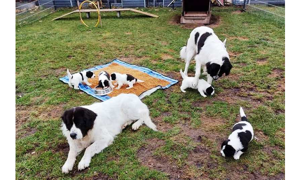 Das erste Mal im Garten