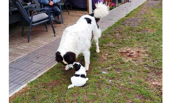 Das erste Mal im Garten