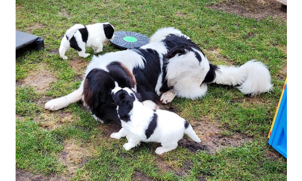 "Grosser" Bruder Jussi ist zu Besuch