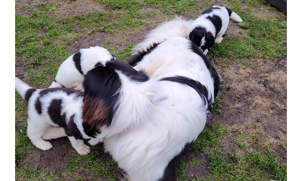 "Grosser" Bruder Jussi ist zu Besuch