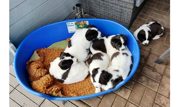 Das erste Mal im Garten