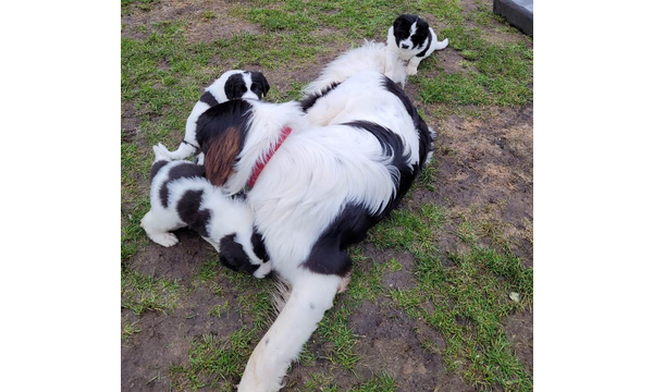 "Grosser" Bruder Jussi ist zu Besuch