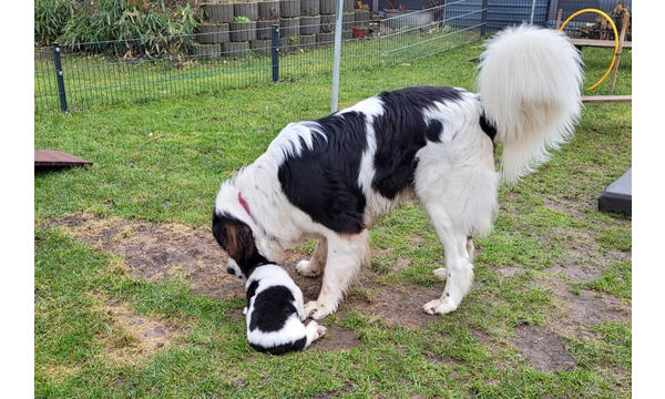 "Grosser" Bruder Jussi ist zu Besuch