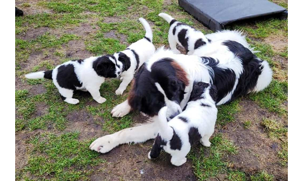 "Grosser" Bruder Jussi ist zu Besuch