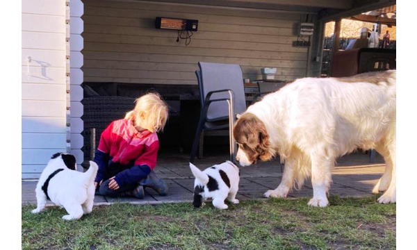 Das Nachbarskind ist zu Besuch