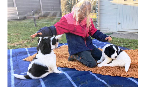 Das Nachbarskind ist zu Besuch