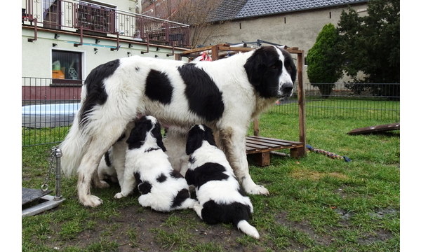 Hera ist eine tolle Mama