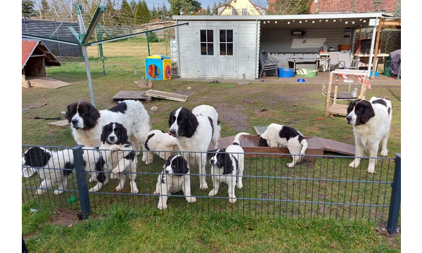 Maxi wird interessiert empfangen