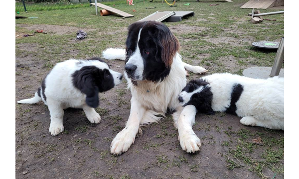 Jussi mit Laura und Lissi