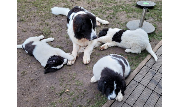 Jussi mit Laura, Lara und Lissi